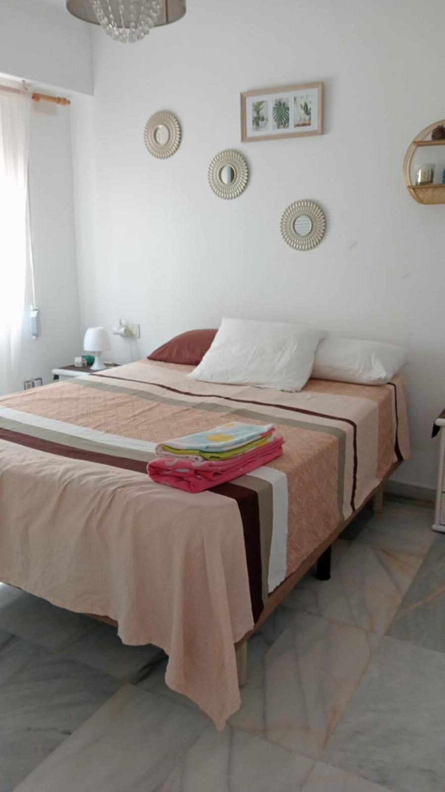 Apartamento Con Wifi, Mascotas Bienvenidas Benidorm Exteriér fotografie